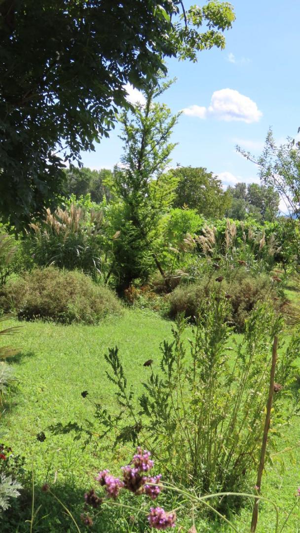 Ca Veja B&B Forli Bagian luar foto